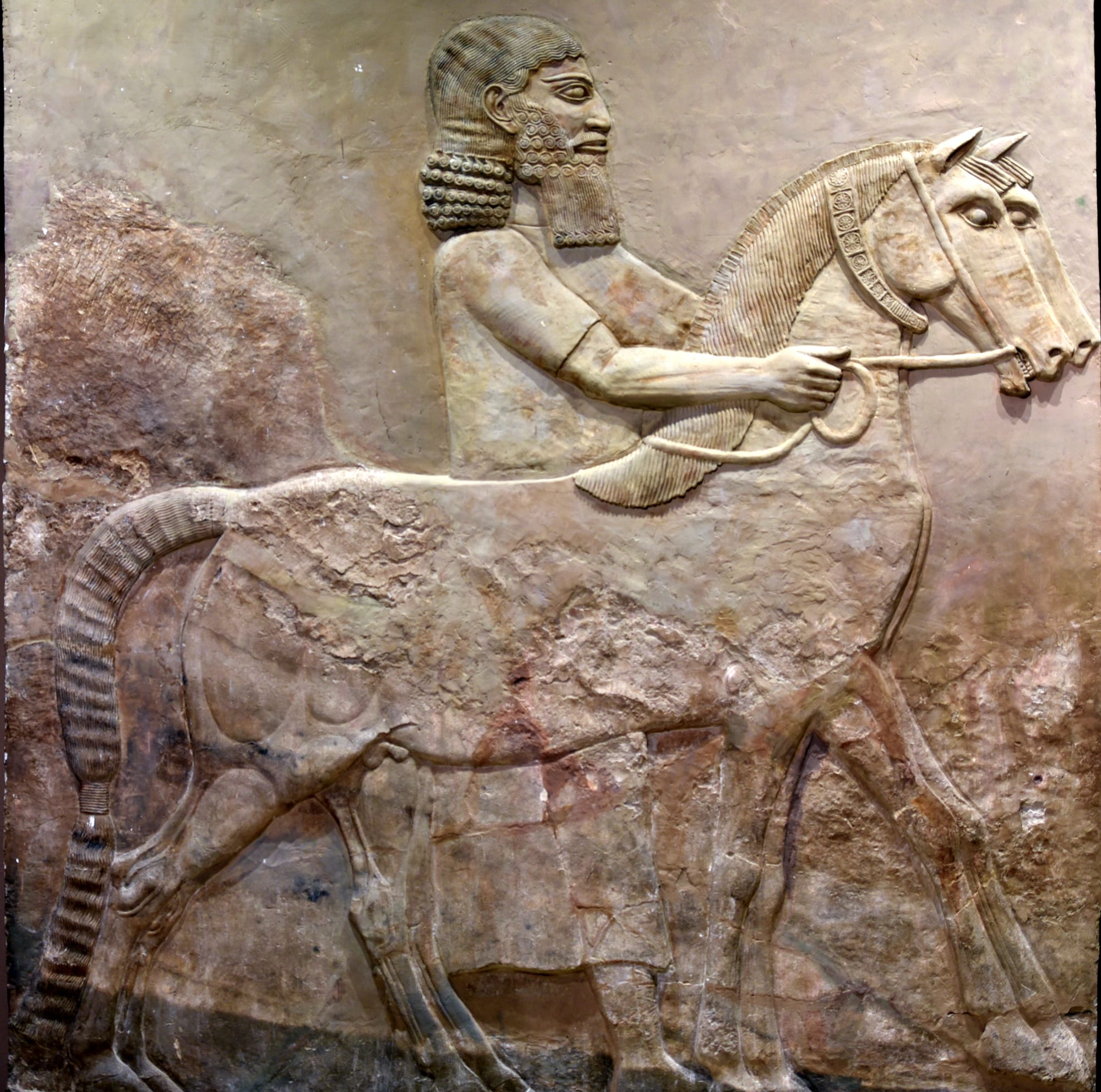 A horse and an Assyrian groom. Some traces of the original paint still appears. From the Royal Palace at Khorsabad, Iraq. Circa 710 BCE. On display at the Assyrian Gallery of the Iraq Museum in Baghdad, Iraq.