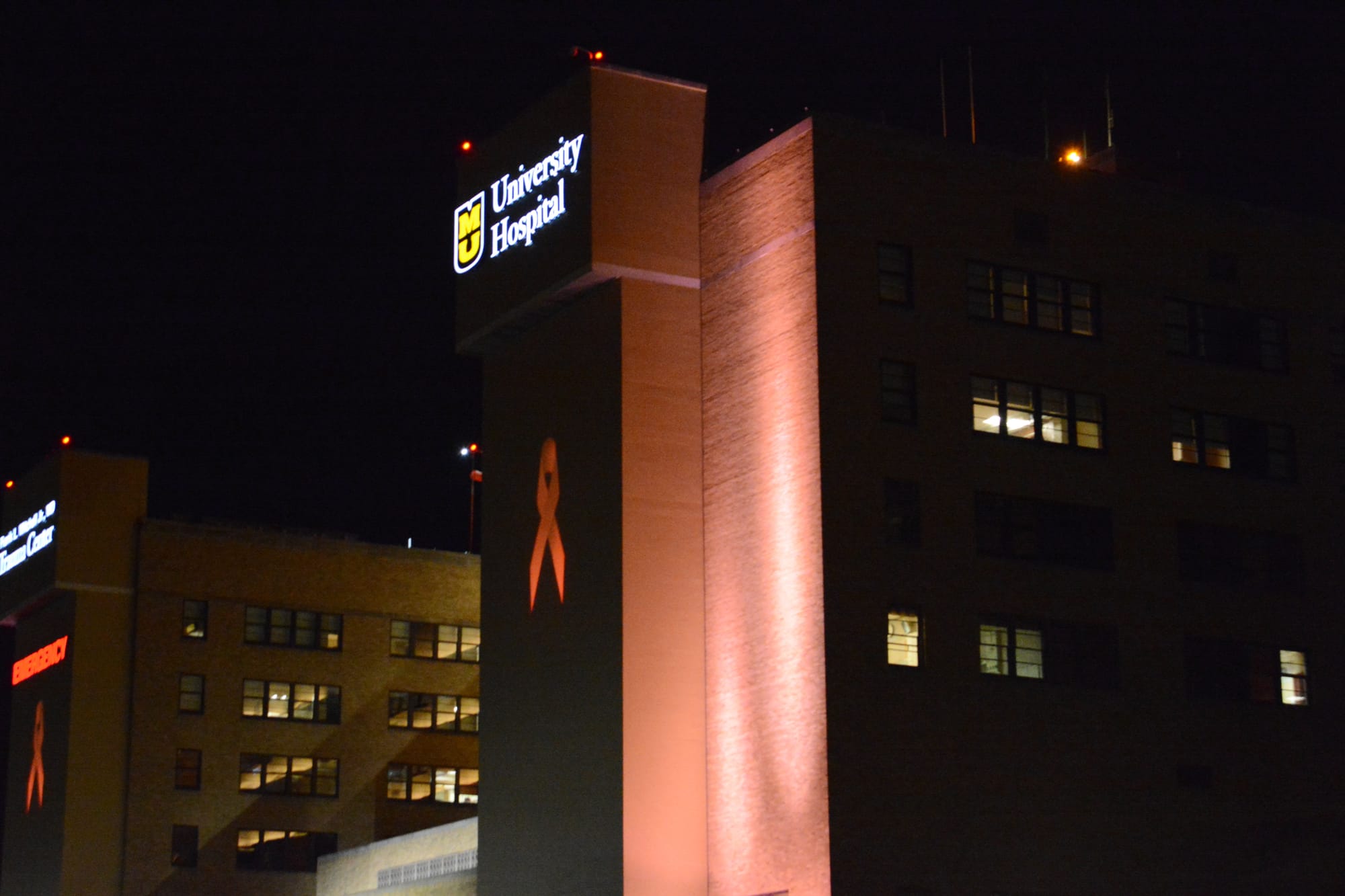 The University of Missouri Hospital superimposes two pink ribbons on the walls near the main entrance in support of National Breast Cancer Awareness month on Oct. 14, 2013 in Columbia, Missouri. The Ellis Fischel Cancer Center held late-night breast cancer screenings from 6 p.m to midnight on Oct. 4 in order to make mammograms more accessible to the community.