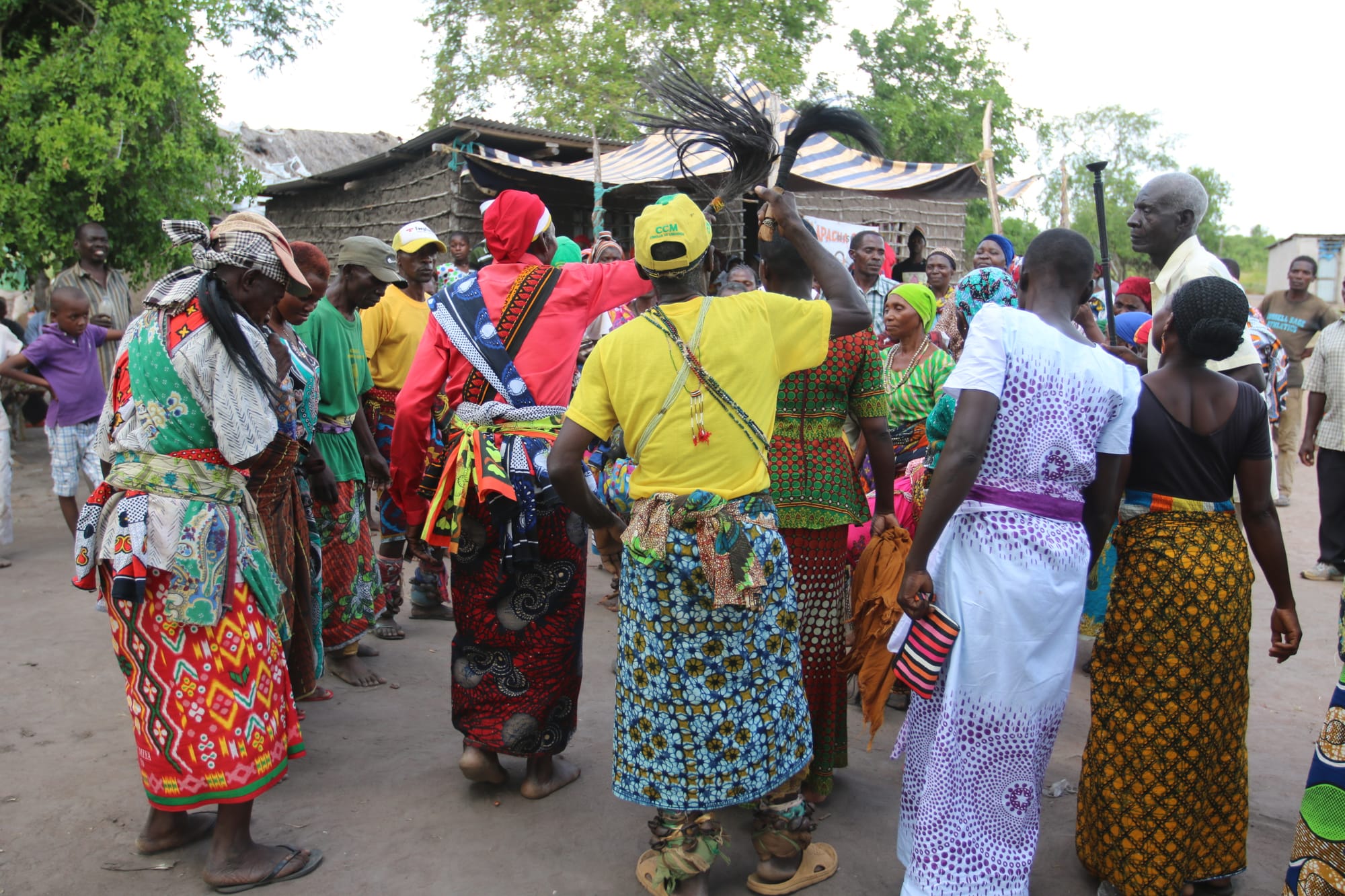 This is an image with the theme "Health and Wellness in Africa" from: