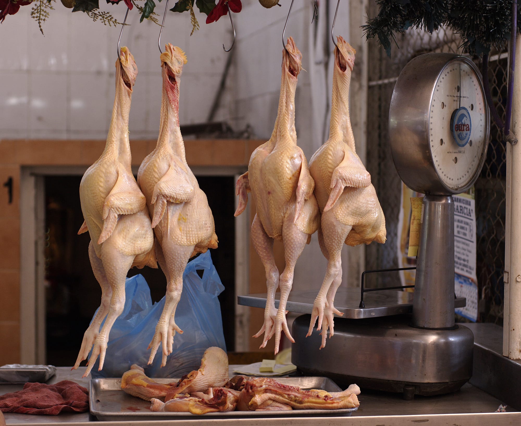 Chicken meat displayed for sale at public food market in Mazatlan, Sinaloa, Mexico.