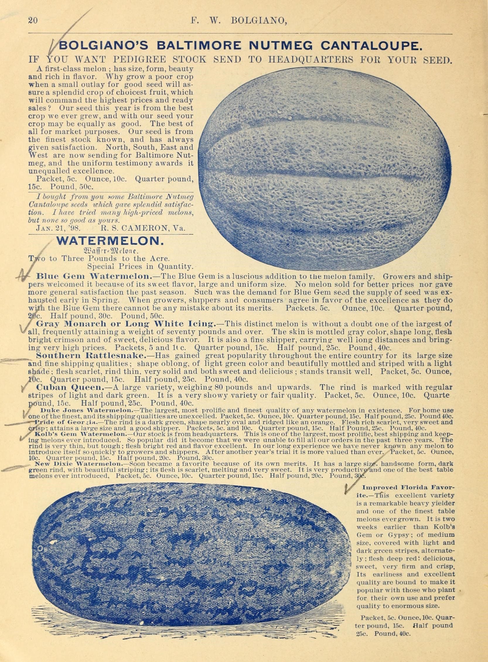 20
F. W. BOLGIANO,
OLGIANO'S BALTIMORE NUTMEG CANTALOUPE.
IF tOU WANT PEDIGREE STOCK SEND TO HEADQUAirrERS FOR YOUR SEED.
A first-class melon ; has size, form, beauty
and rich in flavor. Why grow a poor crop
when a small outlay for good seed will as-
sure a splendid crop of choicest fruit, which
will command the highest prices and ready
sales ? Our seed this year is from the best
crop we ever grew, and with our seed your
crop may be equally as good. The best of
all for market purposes. Our seed is from
the finest stock known, and has always
given satisfaction. North, South, East and
West are now sending for Baltimore Nut-
meg, and the uniform testimony awards it
unequalled excellence.
Packet, 5c. Ounce, lOc. Quarter pound,
15c. Pound, 50c.
I bought from you Kome Baltimore JSutmeg
Cantaloupe seeds which gave splendid satisfac-
tion. I have tried many high-priced melons,
hut none so good as yours.
Jan. 21, '98. R. S. CAMERON, Va.
•/
WATERMELON.
T^o to Three Pounds to the Acre.
^ / Special Prices in Quantity.
-4^ Blue Gem Watermelon. — The Blue Gem is a luscious addition to the melon family. Growers and ship-
pers welcomed it because of its sweet flavor, large and uniform size. No melon sold for better prices nor gave
more general satisfaction tlie past season. Sucli was the demand for Blue Gem seed the supply of seed was ex-
hausted early in Spring. When growers, shippers and consumers agree in favor of the excellence as they do
wUfh the Blue Gem there cannot be any mistake about its merits. Packets. 5c. Ounce, 10c. Quarter pound,
ape. Half pound, 30c. Pound, 50c.
» / Gray Monarch or Long- White Icing*. — This distinct melon is Avithout a doubt one of the largest of
V/all, frequently attaining a weight of seventy pounds and over. The skin is mottled gray color, shape long, flesh
bright crimson and of sweet, delicious flavor. It is also a fine shipper, carrying well long distances and bring-
ing very high prices. Packets, 5 and ll c. Quarter pound, 15c. Half pound, 25c. Pound, 40c.
Southern Rattlesnake. — Has gained great popularity throughout the entire country for its large size
and fine shipping qualities ; shape oblong, of light green color and beautifully mottled and striped with a light
shade; flesh scarlet, rind thin, very solid and both sweet and delicious ; stands transit well. Packet, 5c. Ounce^
/Oc. Quarter pound, 15c. Half pound, 25c. Pound, 40c.
Cuban Queen. — A large variety, weighini? 80 pounds and upw^ards. The rind is marked with regular
stripes of light and dark green. It is a very showy variety or fair quality. Packet, 5c. Ounce, 10c. Quarte
pound, 15c. Half pound, 25c. Pound, 40c.
I / L.uke Jones Watermelon.— The largest, most prolific and finest quality of auy Avatermelon in existence. For home use
Ironeof the finest, and its shipping qualities are unexcelled. Packet,5c. Ounce, 10c. Quarter pound. 15c. Half pound, 25c. Pound40c.
Pride of Geor iia.— The rind is a dark green, shape nearly oval and ridged like an orange. Flesh rich scarlet, very sweet and
Ibpi attains a large size and a good shipper. Packets, 5c. and 10c. Quarter pound, lac. Half Pound, 25c. Pound, 40c.
Kolb's Gem AVatermelon.— Our stock is from headquarters. This is one of the largest, most prolific, best shipping and keep-
ing tnelons ever introduced. So popular did it become that we were unable to fill all our orders in the past three years. The
rind is very thin, but tough ; flesh bright red and flavor excellent. In our long experience we have never knoAvn any melon to
introduce itself so quickly to growers and shippers. After another year's trial it is more valued than ever. Packet, 5c. Ounce,
10c. Quarter pound, 15c. Half pound, 20c. Pound, 30c.
. New Dixie Watermelon.— Soon became a favorite because of its own merits. It has a large si^. handsome form, dark
green rind, with beautiful striping ; its flesh is scarlet, melting and very sweet. It is very productivy^and one of the best table
melons ever introduced. Packet, 5c. Ounce, 10c. Quarter pound, 15c. Half pound, 20c. Pound,:
Improved Florida Favor-
ite.— Tliis excellent variety
is a remarkable heavy yielder
and one of the finest table
melons ever grown. It is two
weeks earlier than Kolb'a
Gem or Gypsy ; of medium
size, covered with light and
dark gi'ccn stripes, alternate-
ly ; flesh deep redt delicious,
sweet, very firm and crisp.
Its earliness and excellent
quality arc bound to make it
popular with those who plant
for their own use and prefer
qualitj- to enormous size.
Packet, 5c. Ounce, 10c. Quar-
ter pound, 15c. Half pound
25c. Pound, 40c.