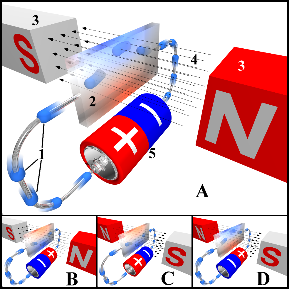 Shows the Hall effect for different directions of electric current and magnetic field.
Legend:
Electrons (not conventional current!)
Hall element, or Hall sensor
Magnets
Magnetic field
Power source
In drawing "A", the Hall element takes on a negative charge at the top edge (symbolised by the blue color) and positive at the lower edge (red color). In "B" and "C", either the electric current or the magnetic field is reversed, causing the polarization to reverse. Reversing both current and magnetic field (drawing "D") causes the Hall element to again assume a negative charge at the upper edge.
Rendered using POV-Ray. The scene description "code" shown below supports rendering all of the four "situations" portrayed in the image - see the comment given in the code in the page discussion. The four images were subsequently combined, and the numbers and letters added, in a graphics software package.