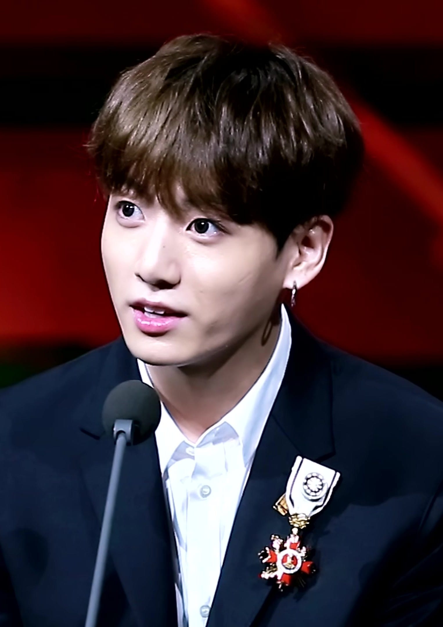 Jeon Jung-kook accepting the Order of Cultural Merit, 24 October 2018