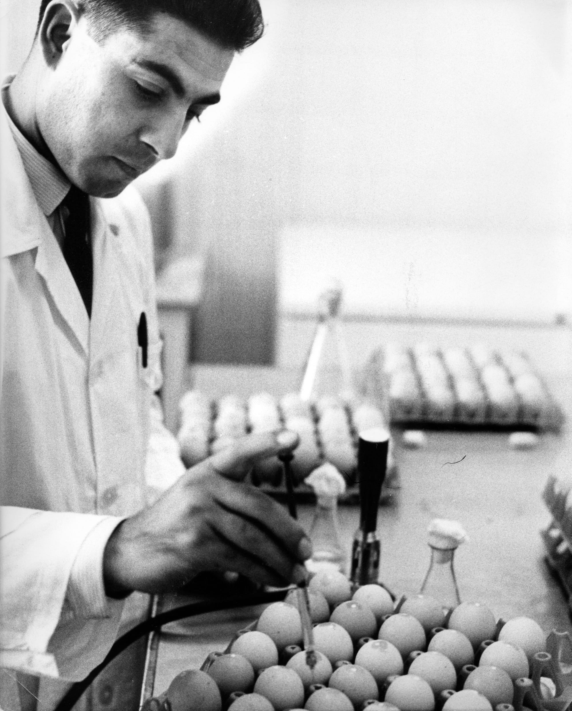 Years of hard work - with help from the United States - have brought Iran to the point where it can develop on its own. U.S. Foreign Aid to Iran will end on November 30, 1967.  American aid has concentrated on Agriculture, industrial development, water and power, education and health. In the field  of agriculture, Iran has increased its production by 40 percent in the last 10 years.  Its industrial production has jumped by 88 percent during the same period. Since 1963, Iran's exports (oil, cotton, carpets ) have increased by one-third. Since 1952, Iran's government has invested $3 billion of its own money in development. U.S. economic assistance during the same period (excluding military and food aid) amounted to $605 million, $223 million in the form of repayable loans. A laboratory technician at Iran's modern Razi Institute inoculates eggs in the process of producing rabies vaccine. U.S. foreign aid helped train staff and assisted in the construction and equipping of laboratories for this research center and laboratory run by Iran's Ministry of Agriculture.