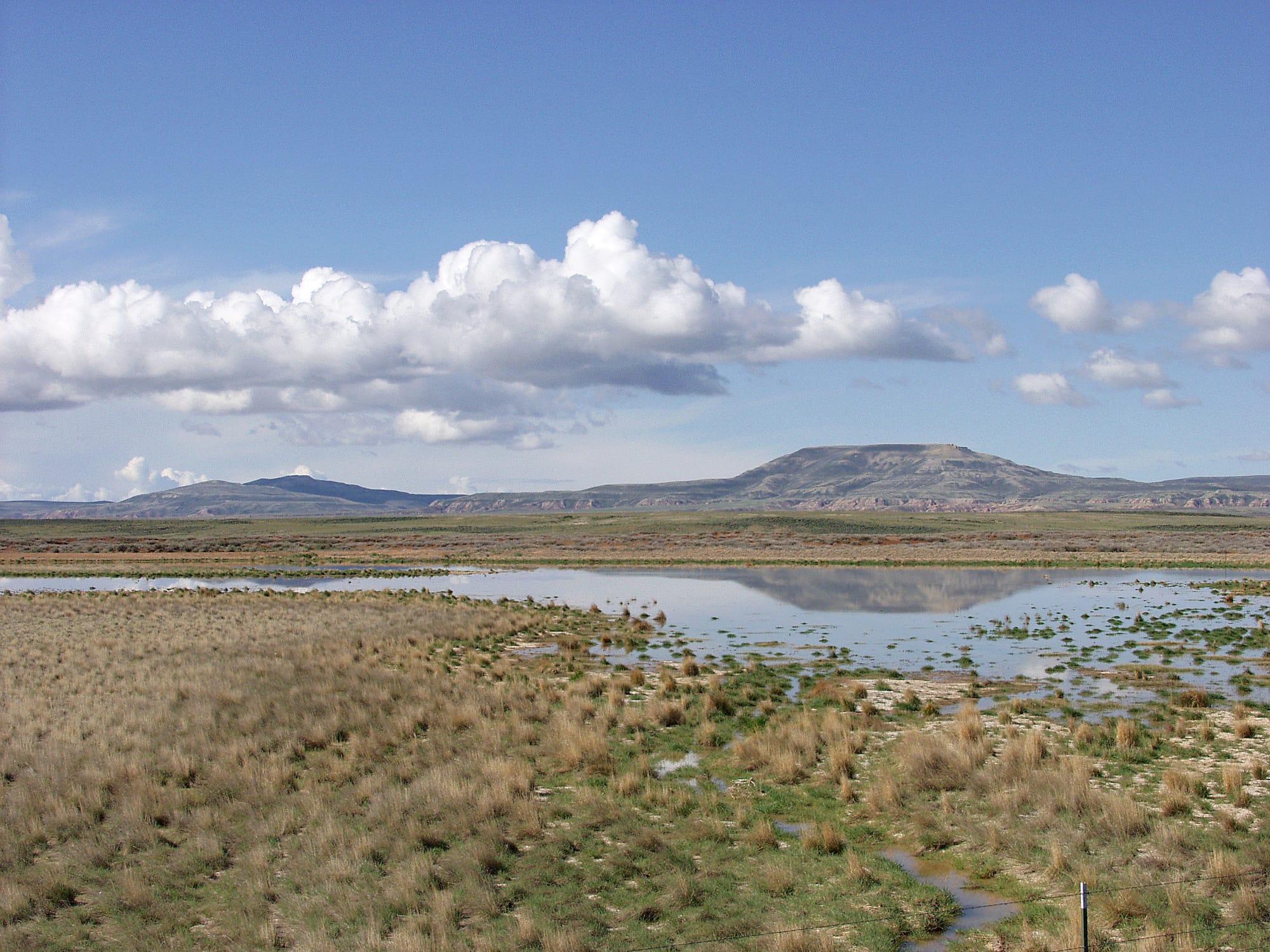 Melting snowpack is the primary source for surface water in Wyoming, such as this emphemeral wetland in the Muddy Creek Watershed of the Red Desert. This stretch of rangeland is typical of the vast expanses of publicly owned rangeland that aerial remote sensing is particularly well-adapted to.
