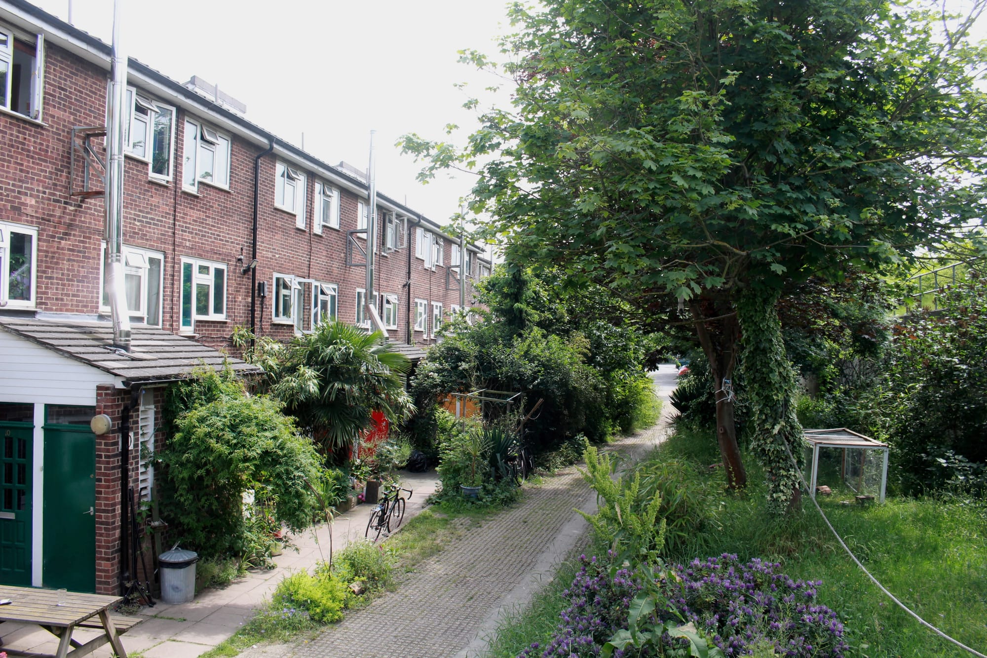 Street view of Sanford Housing Co-op's houses and gardens