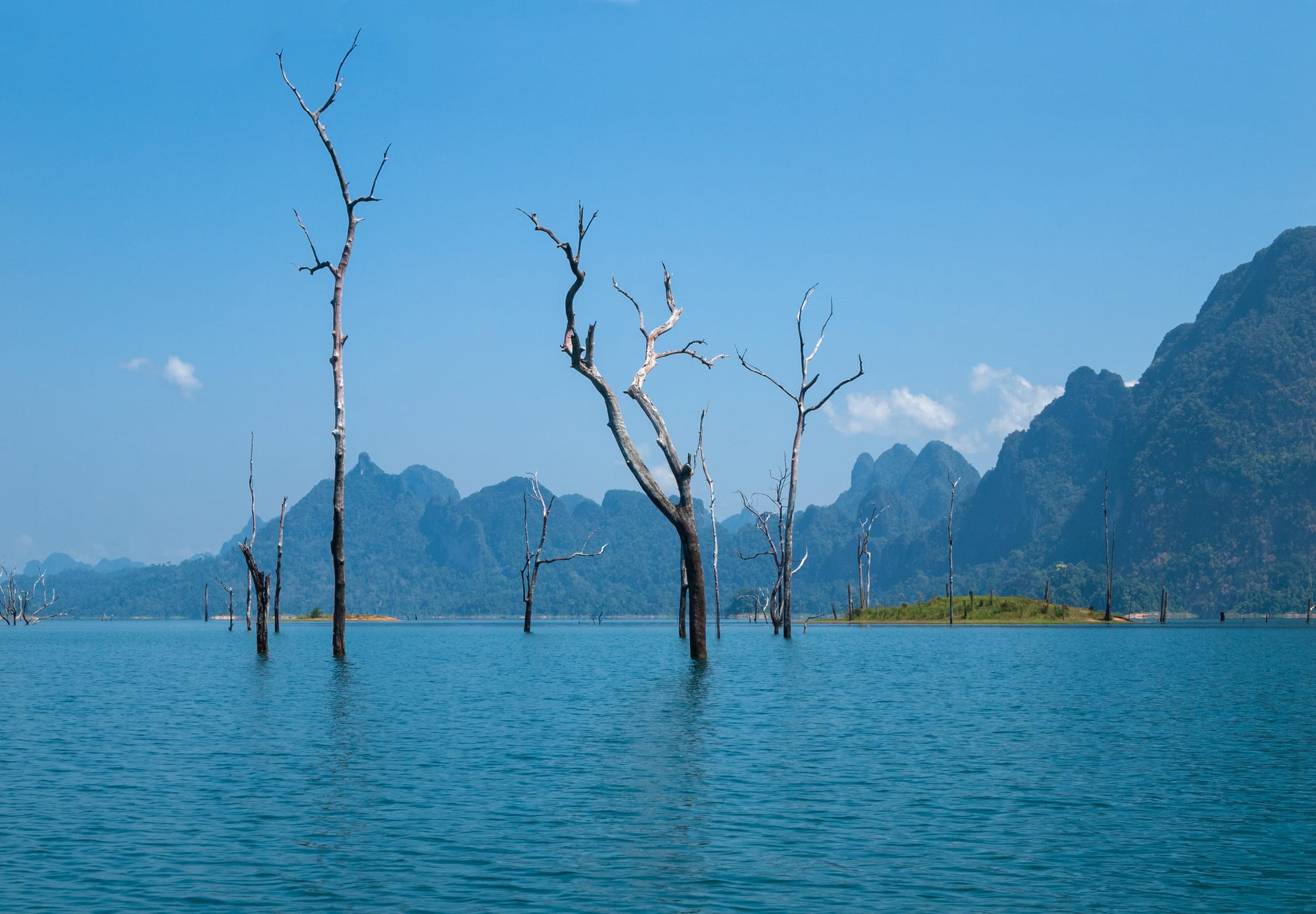 Old submerged trees on Cheow Lan Reservoir Lake in Surat Thani, Thailand. Remnants of the old Shorea Dipterocarp forest. The lake shores still harbour forests with rich flora diversification and dense undergrowth, including many trees native to Thailand.