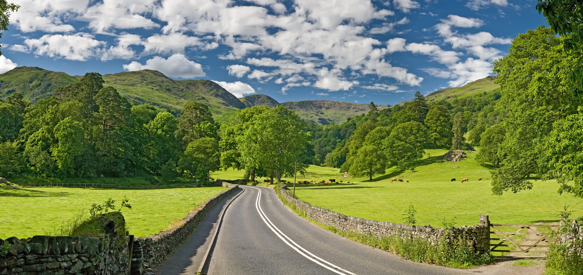 The A591 road as it passes through the countryside between Ambleside and Grasmere in the Lake District, England.