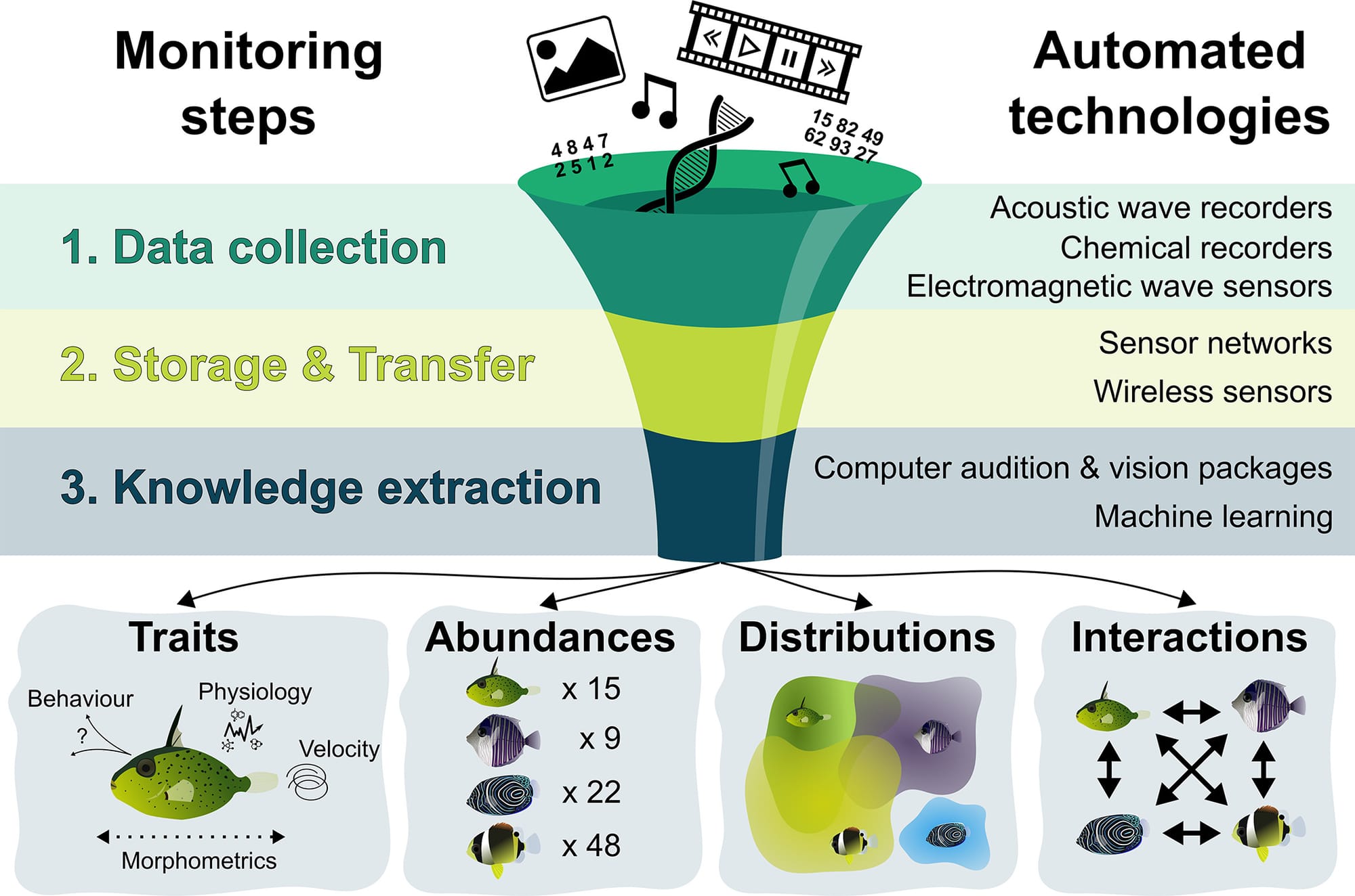 The automation workflow for monitoring populations and communities. From data collection to the extraction of ecological knowledge, a synthesis of the technologies that can automate the acquisition of information regarding individual traits and species abundances, distributions and interactions, which are key metrics for the monitoring of ecological communities.