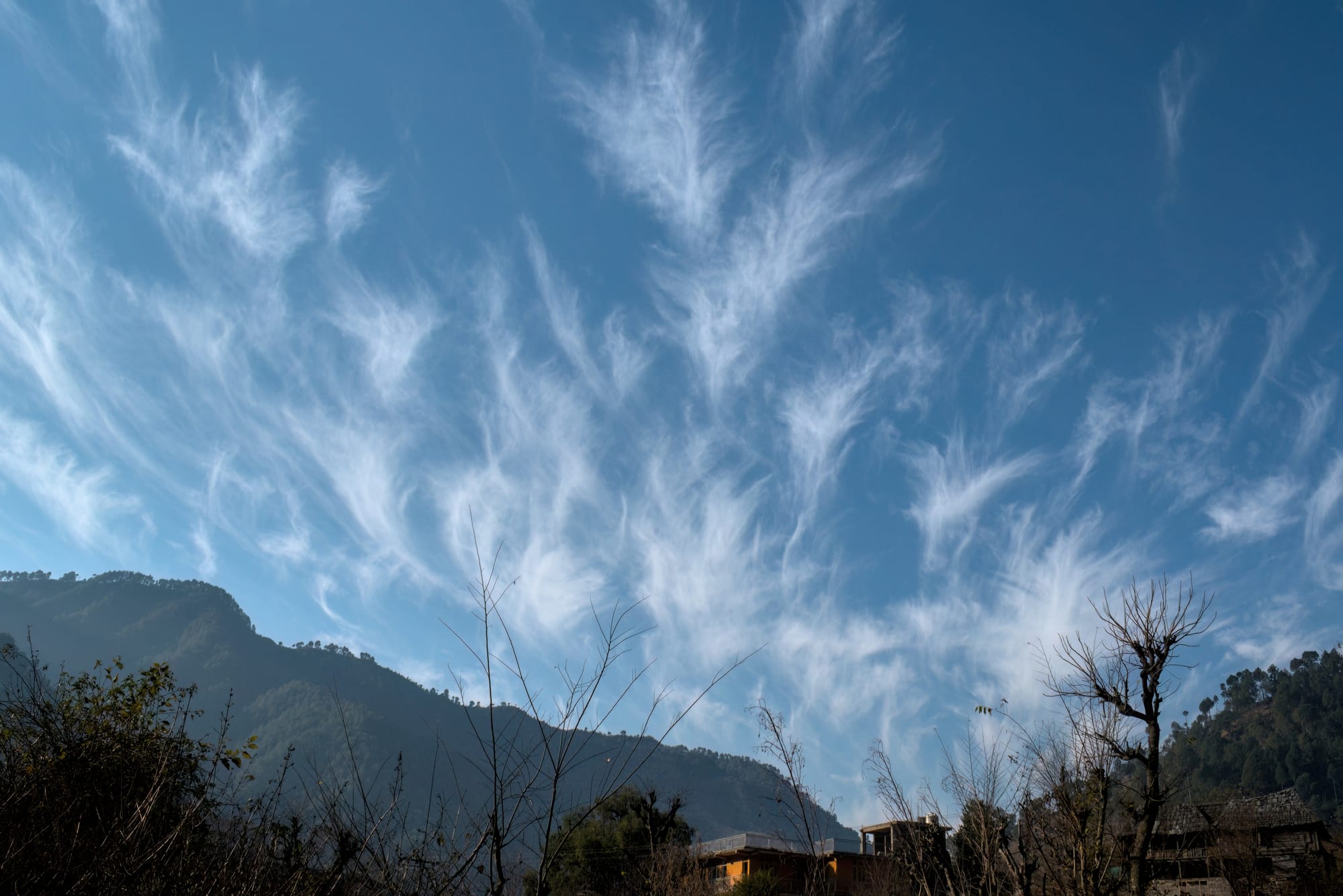 Cirrus uncinus clouds, also known as mares' tails, in the morning sky as seen from Nandli, near IIT Mandi, Himachal Pradesh, India, Jan 2021.