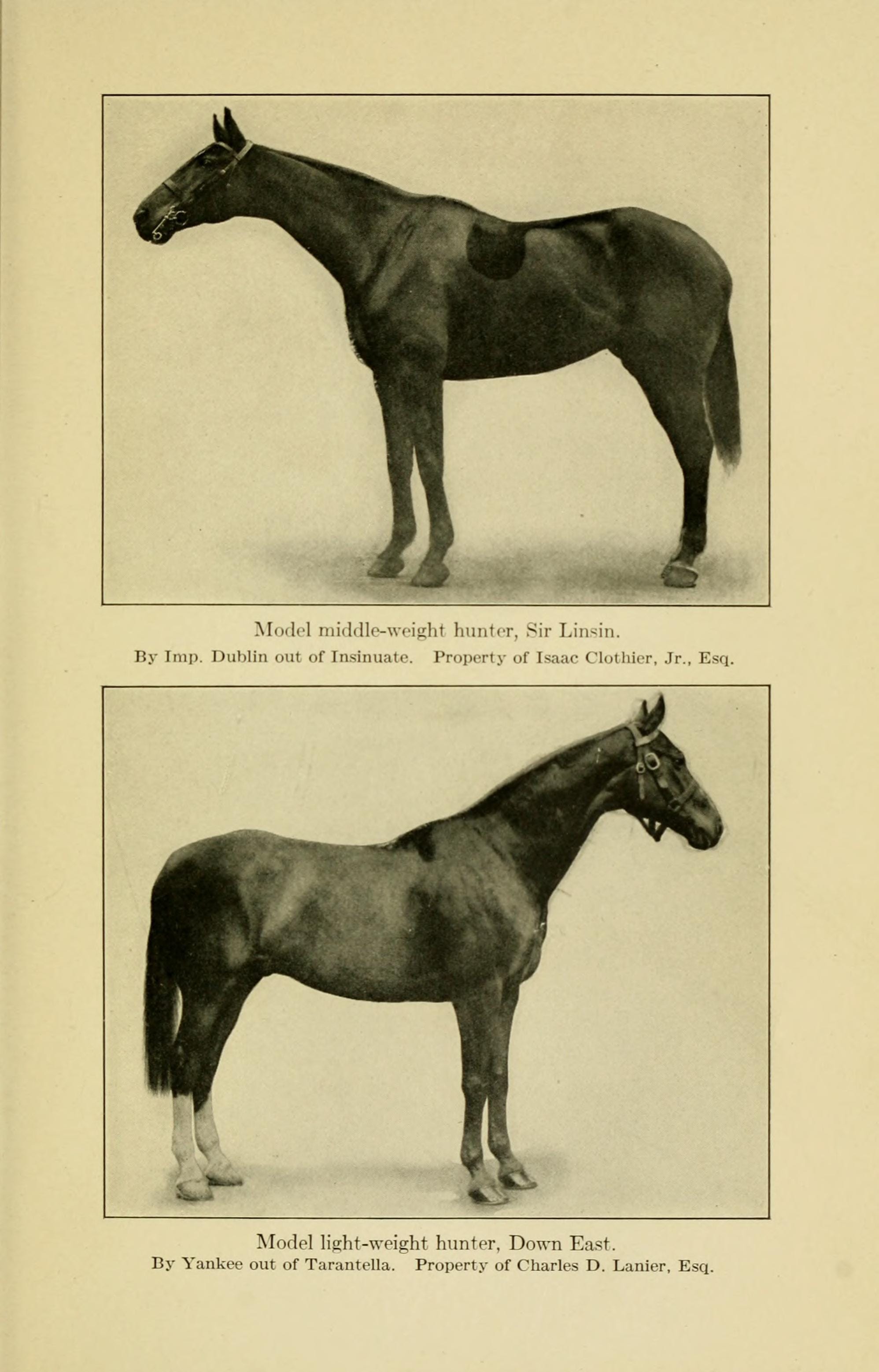 Comments on hacks and hunters /  by Lida L. Fleitmann.