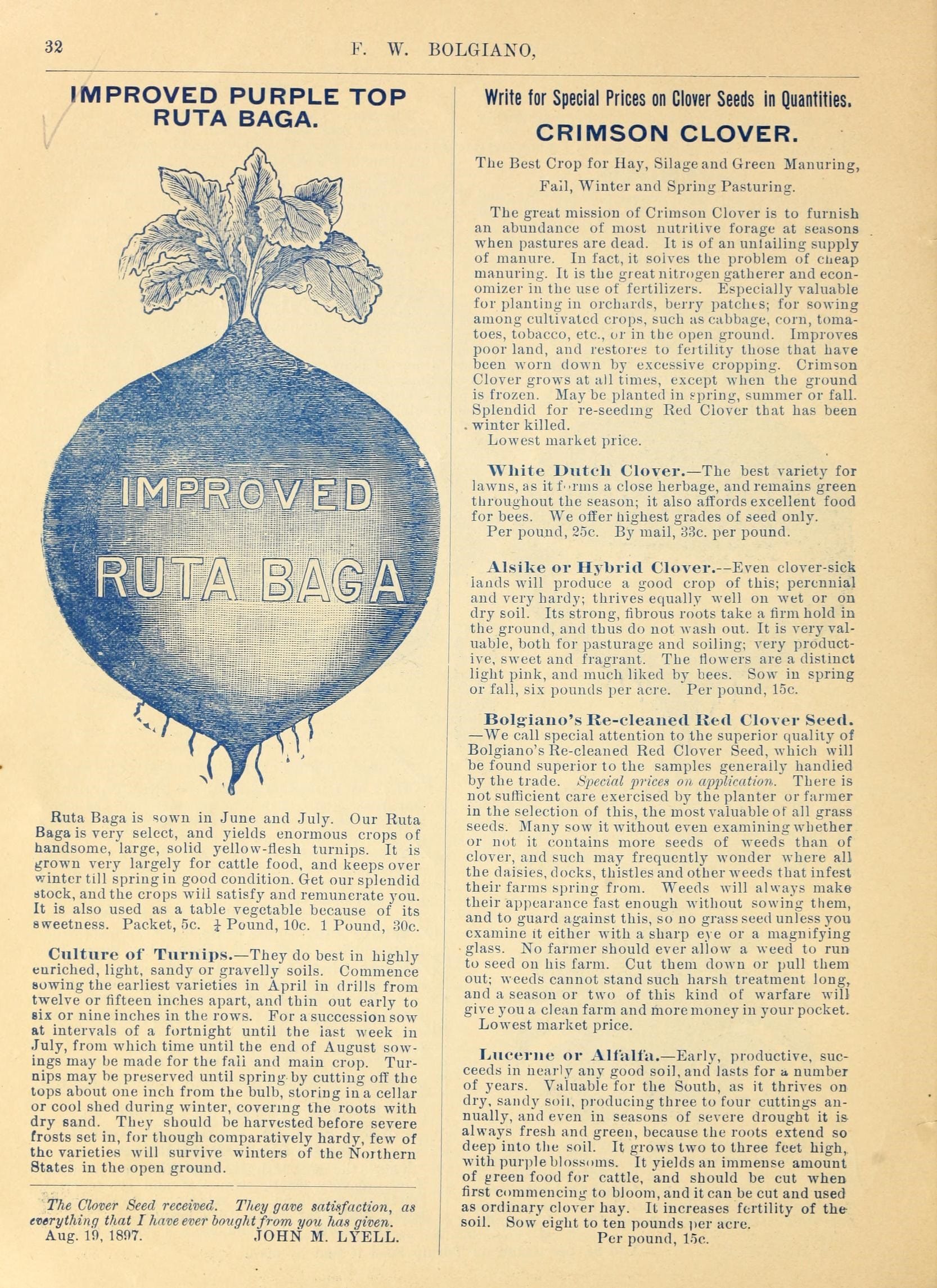 32 
F. W. BOLGIA^^O, 
IMPROVED PURPLE TOP 
RUTA BAGA. 
Ruta Baga is sown in June and July. Our Ruta 
Bagaisvery select, and yields enormous crops of 
handsome, large, solid yellow-flesh turnips. It is 
grown very largely for cattle food, and keeps over 
winter till spring in good condition. Get our splendid 
stock, and the crops will satisfy and remunerate you. 
It is also used as a table vegetable because of its 
sweetness. Packet, 5c. i Pound, 10c. 1 Pound, 30c. 
Culture of Turnips.— They do best in highly 
enriched, light, sandy or gravelly soils. Commence 
sowing the earliest varieties in April in drills from 
twelve or fifteen inches apart, and thin out early to 
six or nine inches in the rows. For a succession sow 
at intervals of a fortnight until the last week in 
July, from which time until the end of August sow- 
ings may be made for the fail and main crop. Tur- 
nips may be preserved until spring by cutting off the 
tops about one inch from the bulb, storing in a cellar 
or cool shed during winter, covering the roots with 
dry sand. They should be harvested before severe 
frosts set in, for though comparatively hardy, few of 
the varieties will survive winters of the Northern 
States in the open ground. 
The Clover Seed received. They gave satisfaction, as 
everything that I have ever bovghtfrom you has given. 
Aug. 10, 1807. JOHN M. LYELL. 
Write for Special Prices on Giover Seeds in Quantities. 
CRIMSON CLOVER. 
The Best Crop for Hay, Silage and Green Manuring, 
Fall, Winter and Spring Pasturing. 
The great mission of Crimson Clover is to furnish 
an abundance of most nutj'itive forage at seasons 
when pastures are dead. It is of an unl ailing supply 
of manure. In fact, it solves the problem of cheap 
manuring. It is the great nitrogen gatherer and econ- 
omizer in the use of fertilizers. Especially valuable 
for planting in orchards, berry patches; for sowing 
among cultivated crops, such as cabbage, corn, toma- 
toes, tobacco, etc., or in the open ground. Improves 
poor land, and restores to fertility those that have 
been worn down by excessive cropping. Crimson 
Clover grows at ail times, except when the ground 
is frozen. Maybe planted in spring, summer or fall. 
Splendid for re-seedmg Red Clover that has been 
. winter killed. 
Lowest market price. 
White Dutch Clover. — The best variety for 
lawns, as it f-rms a close herbage, and remains green 
throughout the season; it also affords excellent food 
for bees. We offer highest grades of seed only. 
Per pound, 25c. By mail, 83c. per pound. 
Alsike or Hybrid Clover. — Even clover-sick 
lands Avill produce a good crop of this; perennial 
and very hardy; thrives equally well on wet or on 
dry soil. Its strong, fibrous roots take a firm hold in 
the ground, and thus do not wash out. It is very val- 
uable, both for pasturage and soiling; very product- 
ive, sweet and fragrant. The flowers are a distinct 
light pink, and much liked by bees. Sow in spring 
or fall, six pounds per acre. Per pound, 15c. 
Bolgiauo's Re-cleaned Ked Clover Seed. 
— We call special attention to the superior quality of 
Bolgiano's Re-cleaned Red Clover Seed, which will 
be found superior to the samples generally handled 
by the trade. Special 2^vices on application. Theie is 
not sufficient care exercised by the planter or farmer 
in the selection of this, the most valuable of all grass 
seeds. Many sow it without even examining whether 
or not it contains more seeds of weeds than of 
clover, and such may frequently Avonder where all 
the daisies, docks, thistles and other weeds that infest 
their farms spring from. Weeds will always make 
their appeaiance fast enough without sowing them, 
and to guard against this, so no grass seed unless you 
examine it either with a sharp eye or a magnifying 
glass. No farmer should ever allow a weed to run 
to seed on his farm. Cut them down or pull them 
out; weeds cannot stand such harsh treatment long^ 
and a season or two of this kind of warfare will 
give you a clean farm and more money in your pocket. 
Lowest market price. 
Lucerne or Alfalfa.— Early, productive, suc- 
ceeds in nearly any good soil, and lasts for a number 
of years. Valuable for the South, as it thrives on 
dry, sandy soil, producing three to four cuttings an- 
nually, and even in seasons of severe drought it is 
always fresh and green, because the roots extend so 
deep into the soil. It grows two to three feet high, 
with pur.)le blossoms. It yields an immense amount 
of green food for cattle, and should be cut w^hen 
first commencing to bloom, and it can be cut and used 
as ordinary clover hay. It increases fertility of the 
soil. Sow eight to ten pounds i)er acre. 

Per pound, 15c.
