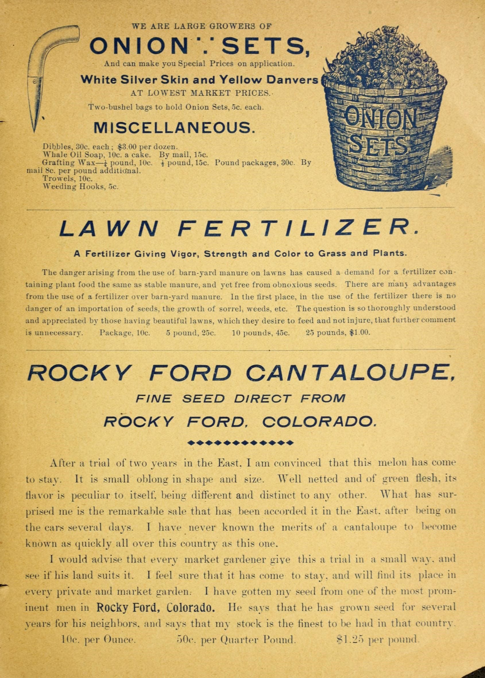 WE ARE LARGE GROWERS OF 
ONION/SETS, 
And can make you Special Prices on application. 
White Silver Skin and Yellow Danvers 
AT LOWEST MARKET PRICES. 
Two-bushel bags to bold Onion Sets, 5c. each. 
MISCELLANEOUS. 
Dibbles, 30c. each&nbsp;; $3.00 per dozen. 
Whale Oil Soap. 10c. a cake. By mail, loc. 
Grafting Wax — J pound, 10c. i pound, 15c. Pound packages, 30c. By 
mail 8c. per pound additio'nal. 
Trowels, 10c. 
Weeding Hooks, 5c. 
LAWN FERTILIZER. 
A Fertilizer Giving Vigor, Strength and Color to Grass and Plants. 
The danger arising from the use of barn-yard manure on lawns has caused a demand for a fertilizer con- 
taining plant food the same as stable manure, and yet free from obnc»xious seeds. There are irianj advantages 
from the use of a fertilizer over barn-yard manure. In the lirst place, in the use of the fertilizer there is no 
danger of an importation of seeds, the growth of sorrel, Aveeds, etc. The question is so thoroughly understood 
and appreciated by those having beautiful lawns, which they desire to feed and not injure, that further comment 
is unnecessary. Package, 10c. 5 pound, 25c. 10 pounds, 45c. 25 pounds, $1.00. 
ROOKY FORD OANTALOUPE. 
FINE SEED DIRECT FROM 
ROCKY FORD, COLORADO. 
After a trial of two years in the East. I am convinced that this melon has come 
to stay. It is small oblong in shape and size. AVell netted and of green flesh, its 
flavor is pecidiar to itself, being diflerent and distinct to any other. What has sur- 
prised me is the remarkable sale that has been accorded it in the East, after i)eing on 
the cars .several days. I have never known the merits of a cantaloupe to become 
known as quickly all over this country as this one. 
I would advise that every market gardener give this a trial in a small way. and 
see if his land suits it. I feel sure that it has come to sta.-. and will And its place in 
every private and market garden. 1 have gotten my seed from one of the most prom- 
inent men in RoCky Ford, ColoradO. He says that he has grown seed for several 
years for his neighbors, and says that my stock is the finest to be had in that country. 

Idc. per Ounce. oOc. per (Quarter Pound. ^1.2o per pound