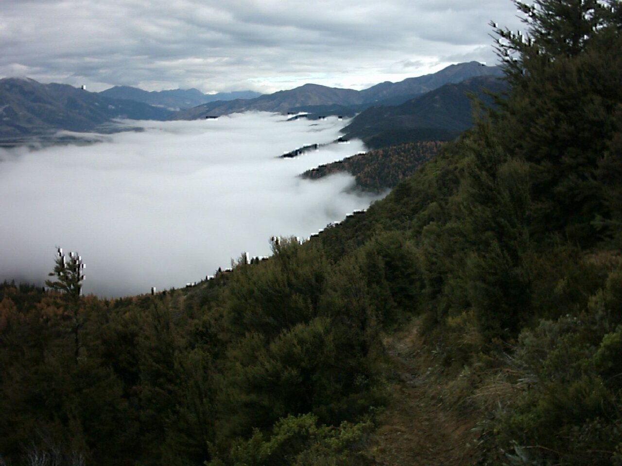 A fog-shrouded valley north of Hanmer Springs, New Zealand. Looking approximately west, coordinates approximately only.