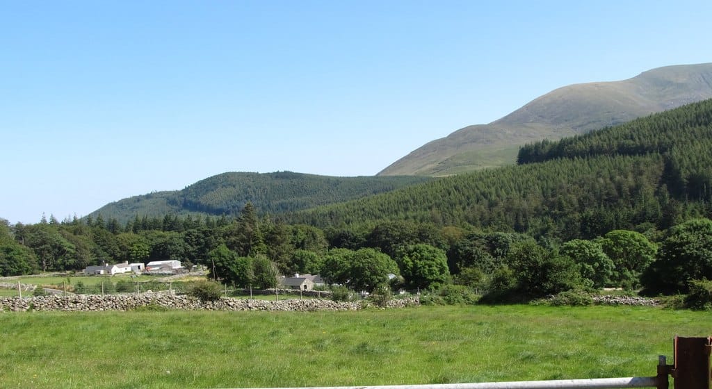 Former homesteads on the edge of the Tollymore Forest