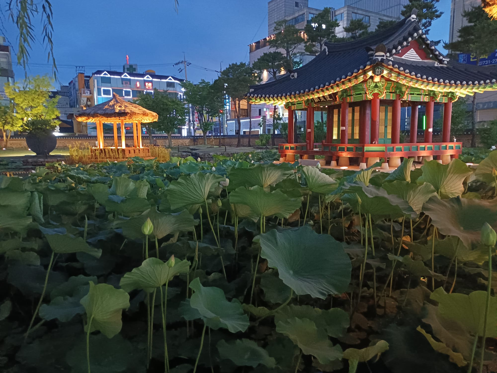 A place of historical significance, Gangwon Gamyeong is a restored provincial office in Wonju, Gangwon province, South Korea