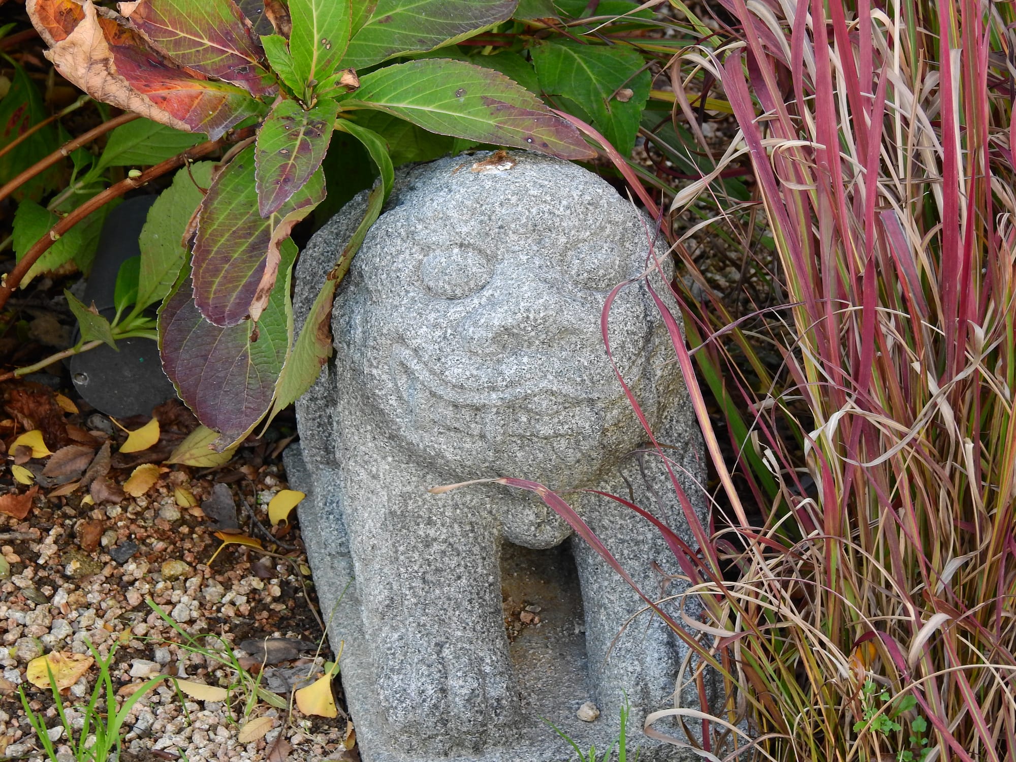 While walking around I found this little guy hiding out and peeking out at the world and found him kind of interesting