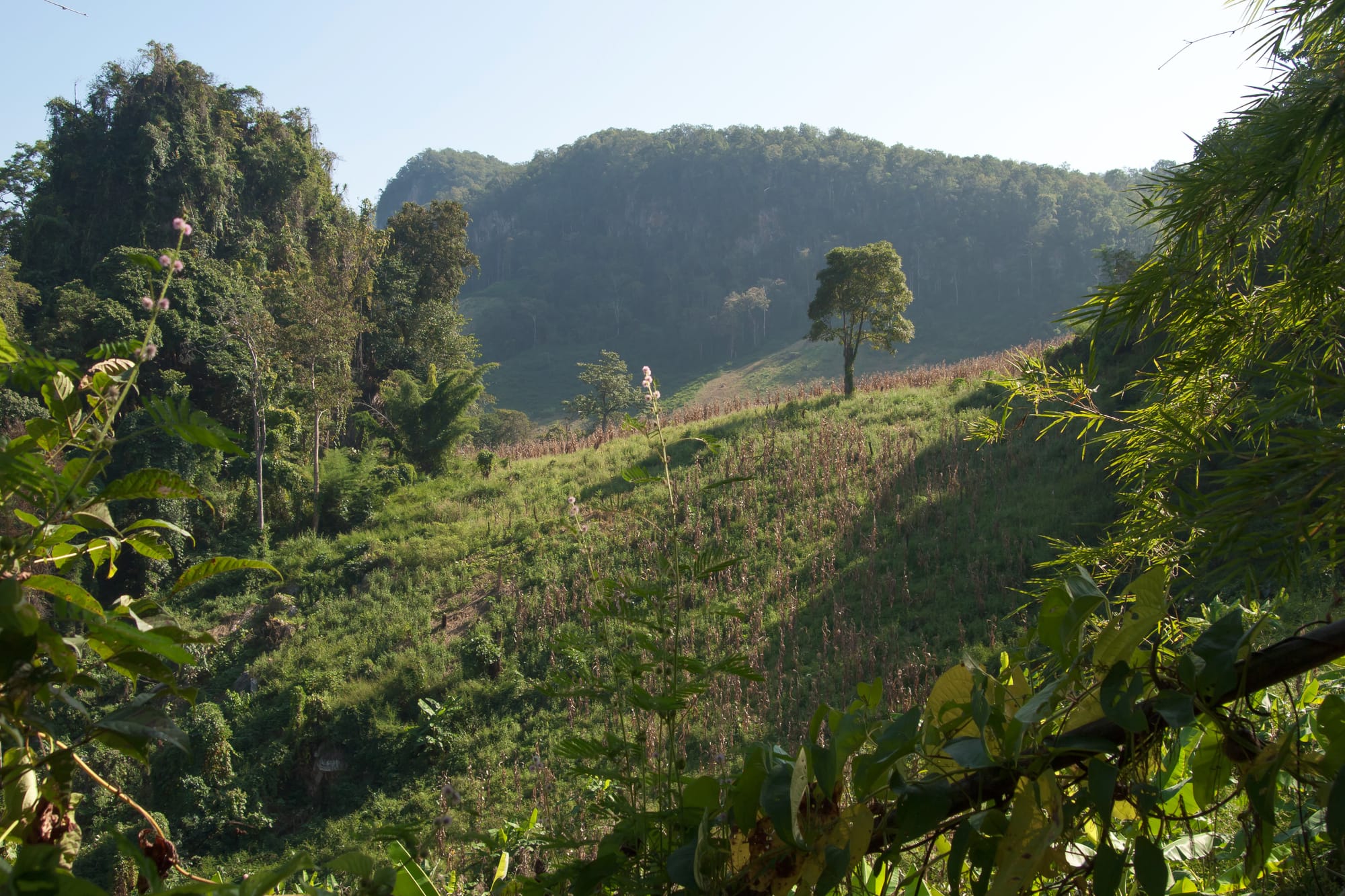 A mountainous region in the north of Thailand. Hilly landscape of northern Mae Hong Son Province on the border with Myanmar, Thailand.