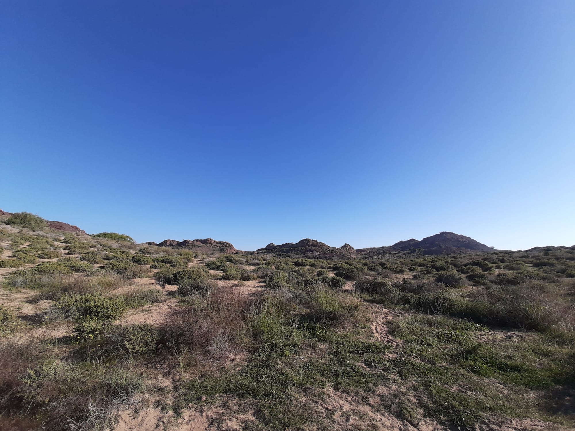 Nature of Hormuz Island