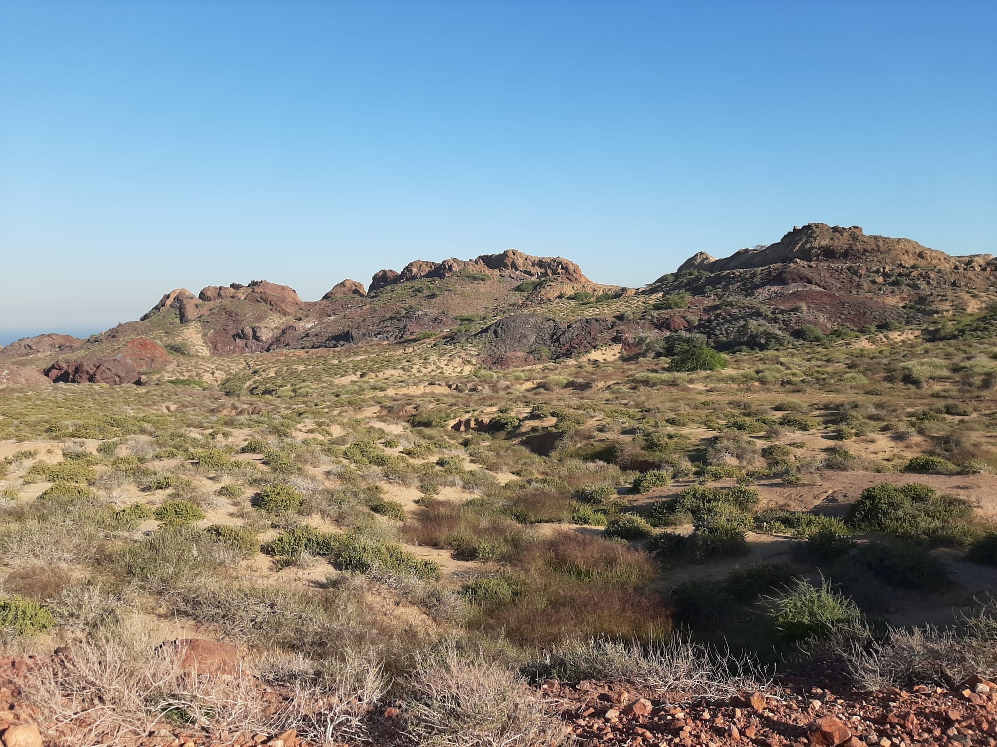 Nature of Hormuz Island