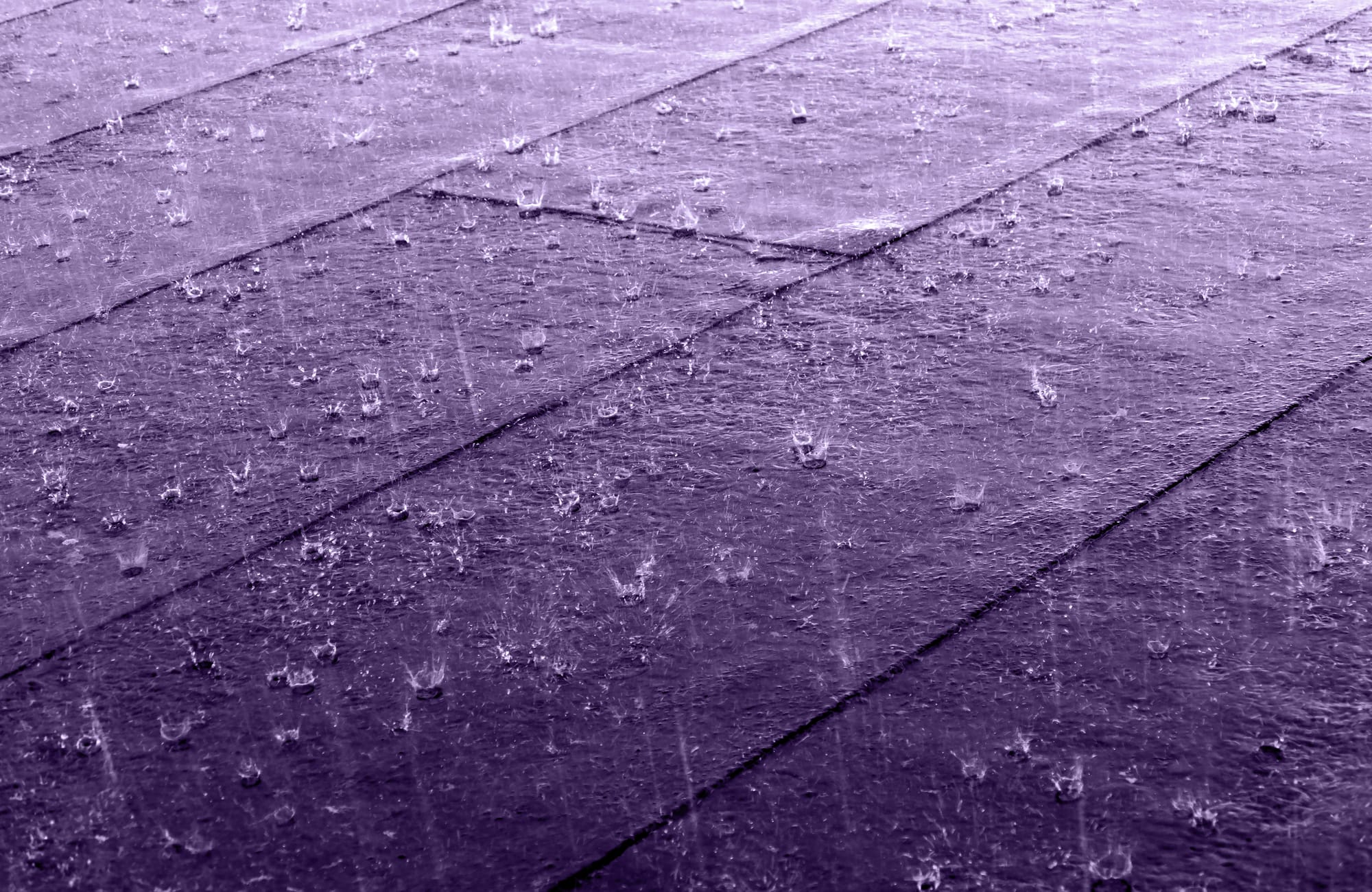 Hard rain on a roof covered with felt and tar paper in Gåseberg, Lysekil Municipality, Sweden. The black and white version has been altered using a monochrome purple filter. The color chosen is the Pantone color "Love symbol #2" that the Pantone Color Institute introduced to honor Prince (musician).