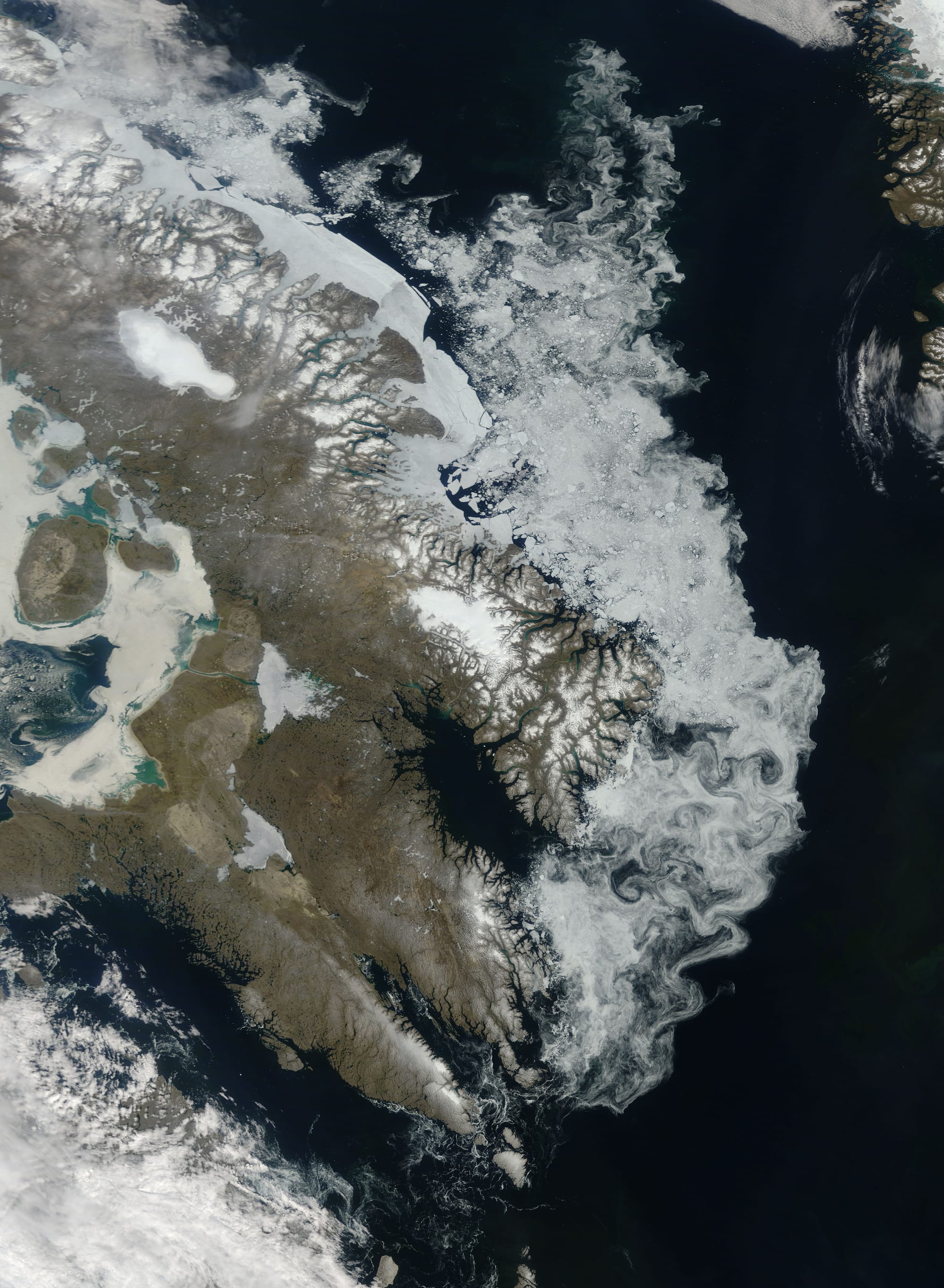 This natural-colour (photo-like) image shows winter ice hugging the coastline of Canada’s Baffin Island. Clouds often hover over the Arctic during the Northern Hemisphere summer, making cloud-free images such as this one relatively rare. Although a few wispy clouds appear in the upper right and lower left corners of this image, the delicate swirls of white running along the eastern edge of Baffin Island are sea ice. Eddies along Baffin Island’s coast have fashioned the ice into interlocking swirls, especially near Cumberland Sound. Farther north, a long band of ice holds fast to the shore east of Barnes Icecap. Although less inclined to move with the currents, this ice also shows signs of weakening, as its edges splinter, and pieces float away. The sea ice retreat captured in this image appears typical of seasonal melt. Since the turn of the twenty-first century, however, Arctic sea ice extent has declined sharply, experiencing a series of low summertime extents and poor wintertime recoveries.