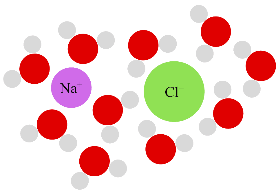 Illustration depicting a sodium (Na+) cation and a chloride (Cl-) anion surrounded by polar water molecules. The electrically negative oxygen side is attracted to the sodium and the electrically negative hydrogen side is attracted to the chloride.