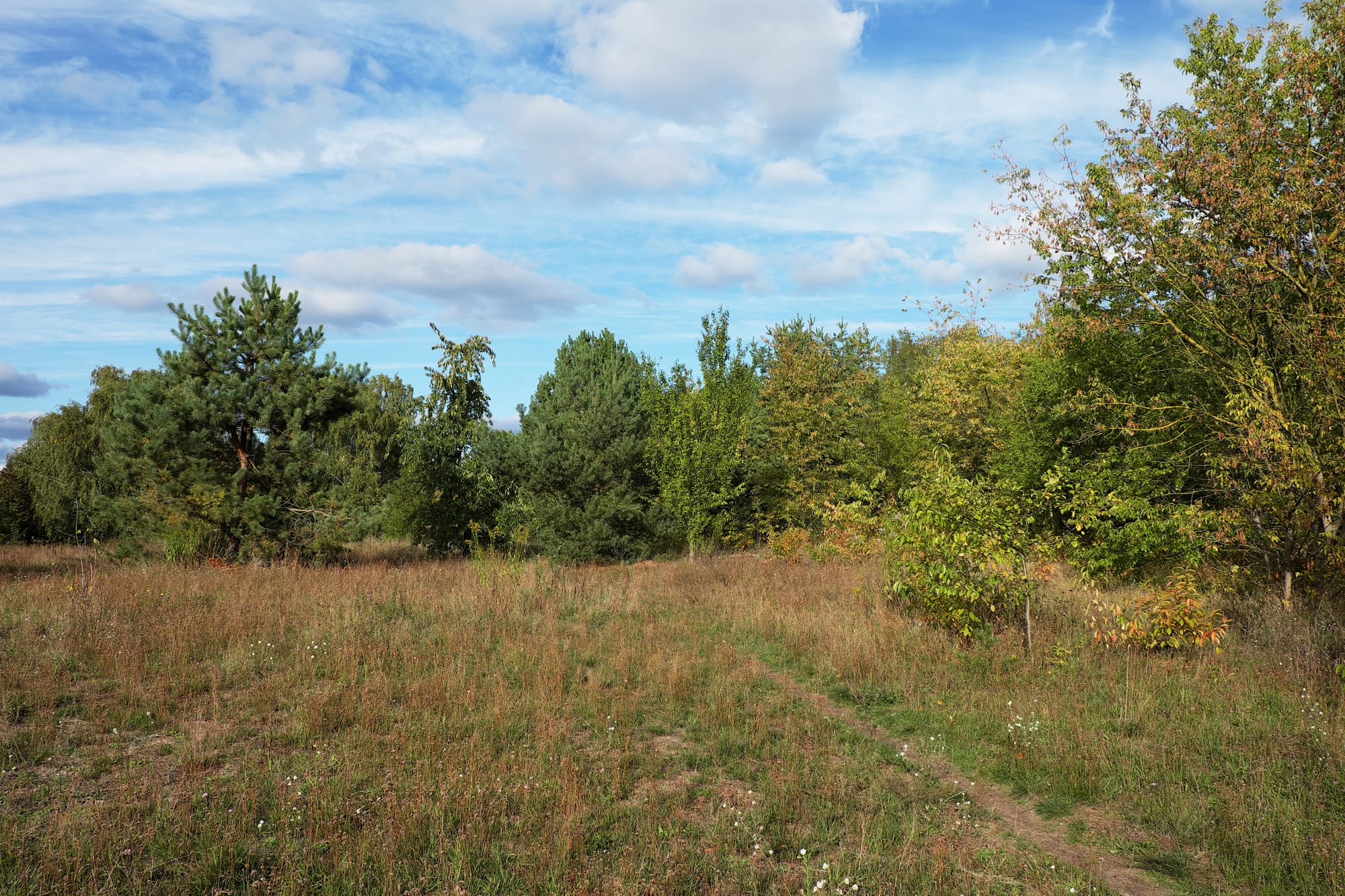 The blue of the sky. Landscape at the Theodor Fontane hiking trail and next to the Höllengrund-Pulverberg nature reserve in Zeuthen, Germany.