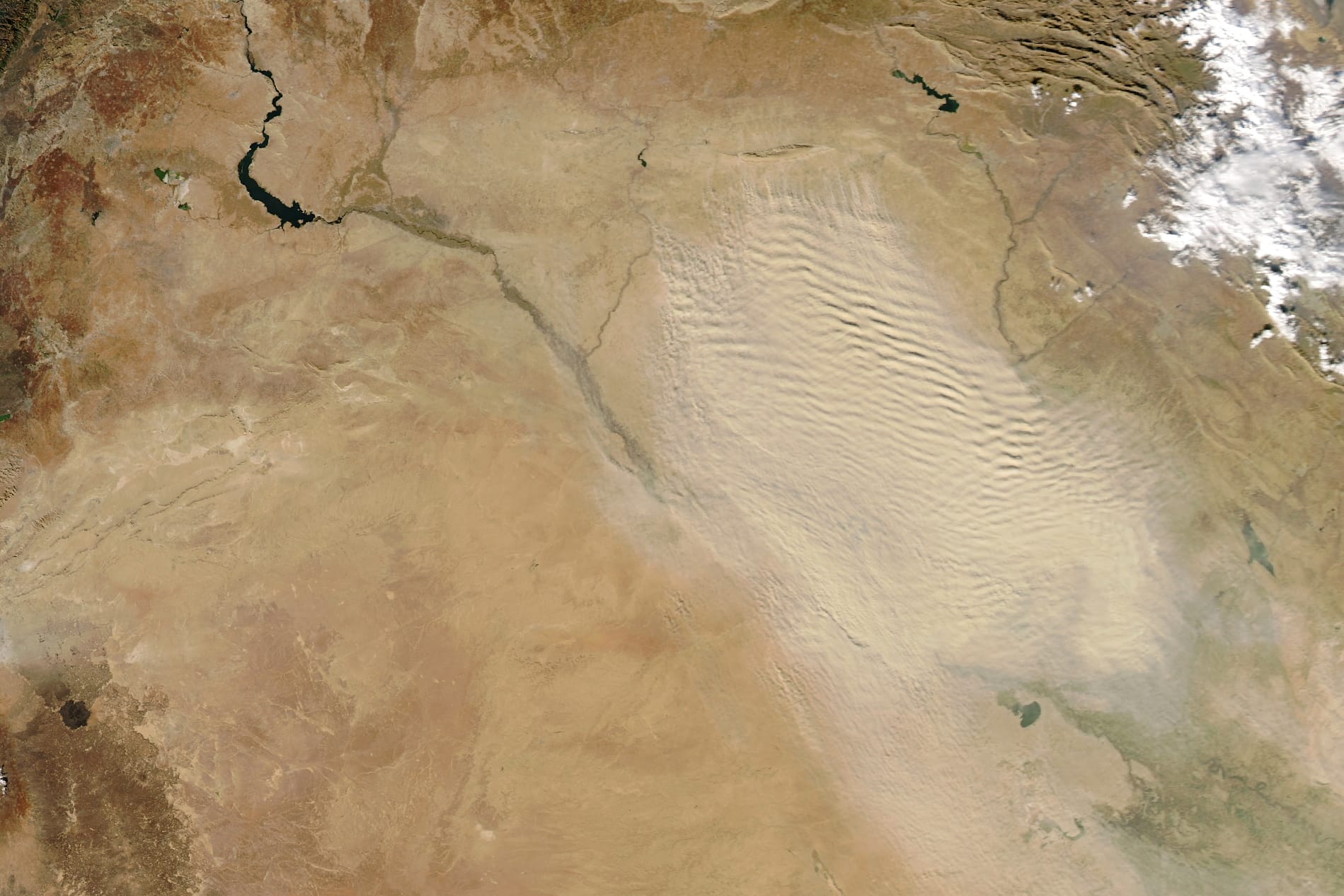 A dust storm swept through the Tigris–Euphrates river basin in mid-December 2024. Blowing hundreds of kilometers from eastern Syria and northern Iraq toward the Persian Gulf, the plume degraded visibility and caused hazardous air quality in several cities, including Baghdad, home to nearly 8 million people.
The dense dust cloud obscured the landscape in this image acquired by the MODIS (Moderate Resolution Imaging Spectroradiometer) on NASA’s Aqua satellite on December 14. Notice how the dust has organized into linear bands. The pattern is likely due to atmospheric gravity waves, caused by the rise and fall of an air mass that has been disturbed, for example, by flowing over topography.
Dust choked the air in the Iraqi capital of Baghdad on December 14. The Associated Press published a video that day showing blowing sand and low visibility in the city. Levels of fine particulate matter (PM2.5) exceeded 400 micrograms per cubic meter, according to data reported by IQAir. The World Health Organization classifies concentrations above 250 micrograms per cubic meter as hazardous, putting the public at high risk of adverse health effects.
The plume traveled farther toward the Persian Gulf and shrouded the city of Abadan in Iran, southeast of this scene, on December 15. Air quality there also reached hazardous levels, schools and public services were closed, and flights were suspended as visibility dropped, according to media reports.
The Tigris–Euphrates river basin is the primary non-desert source of dust in the Middle East and a very active area for dust events. They are most common during the drier summer months, brought on by the shamal—strong winds that blow from the north-northwest. However, the shamal winds also blow in winter, albeit in shorter and less intense incidents, with gusts reaching up to 70 kilometers (43 miles) per hour.
Dry conditions make it more likely that winds can loft eroded material into the air and transport it downwind. In a 2023 study, researchers analyzed data from the GRACE (Gravity Recovery and Climate Experiment) satellites and found a declining trend in terrestrial water storage in the Tigris–Euphrates river basin throughout the mission’s duration, from 2002 to 2017. Combining those observations with models of land surface processes, they attributed about 60 percent of the trend to climate variability and about 40 percent to direct human actions such as groundwater pumping and surface water withdrawal.

NASA Earth Observatory image by Michala Garrison, using MODIS data from NASA EOSDIS LANCE and GIBS/Worldview. Story by Lindsey Doermann.